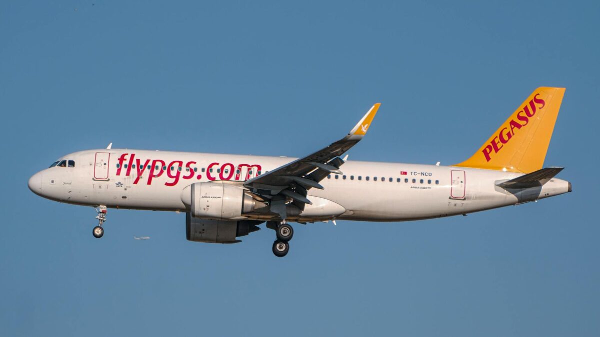 Pegasus Airlines Chelsea