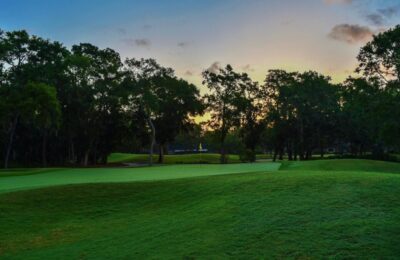 Simona Halep întâlnește o căprioară pe terenul de golf din Dubai