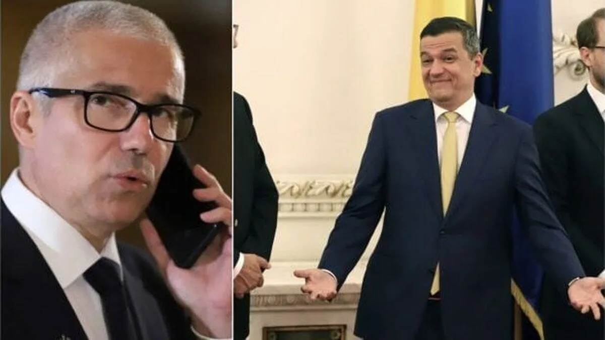 Radu Marinescu plagiat