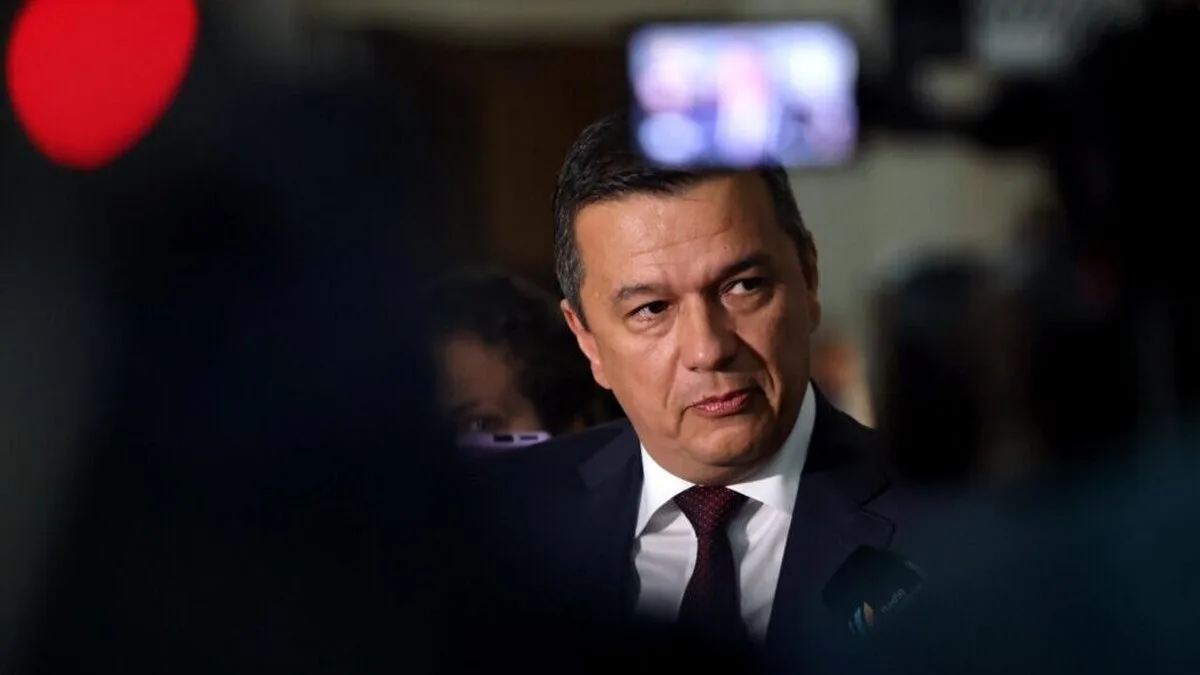 Radu Marinescu plagiat