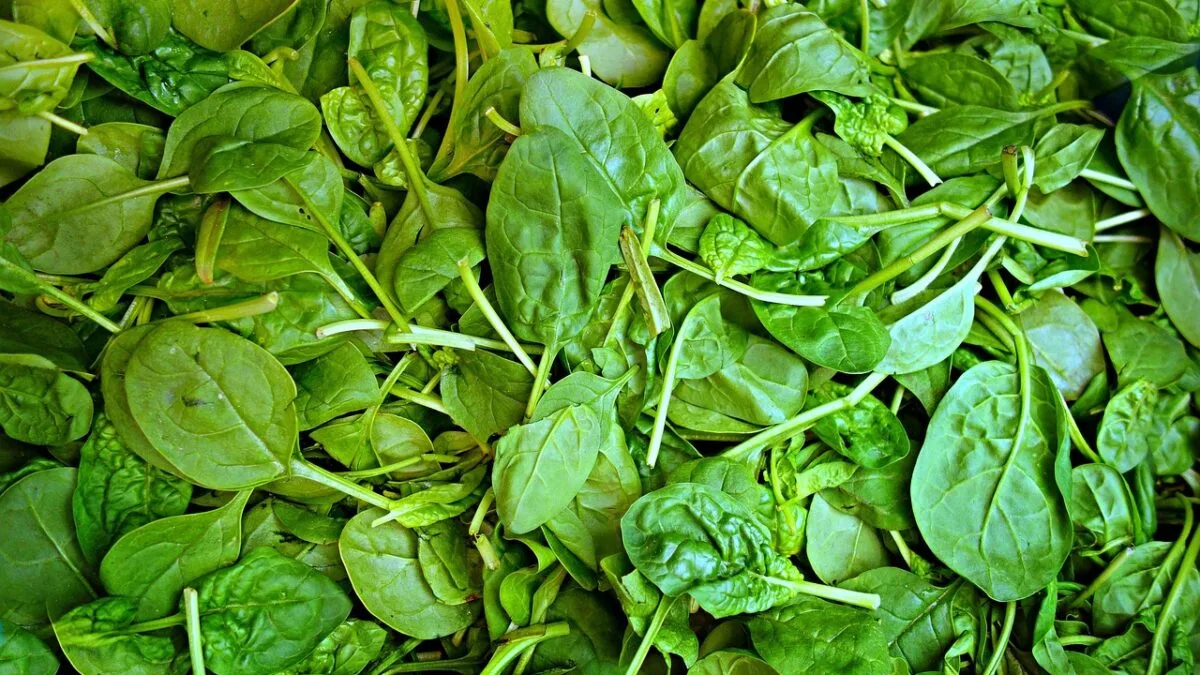 alimente bogate în fier