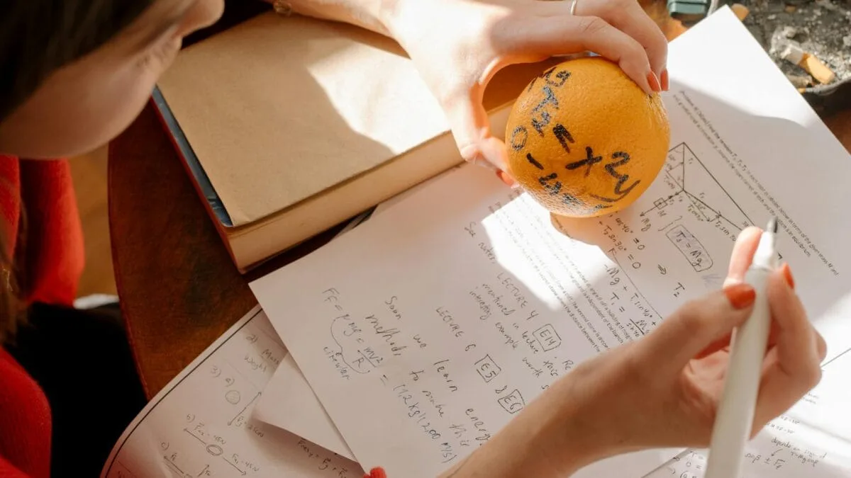 burse studenti educatie