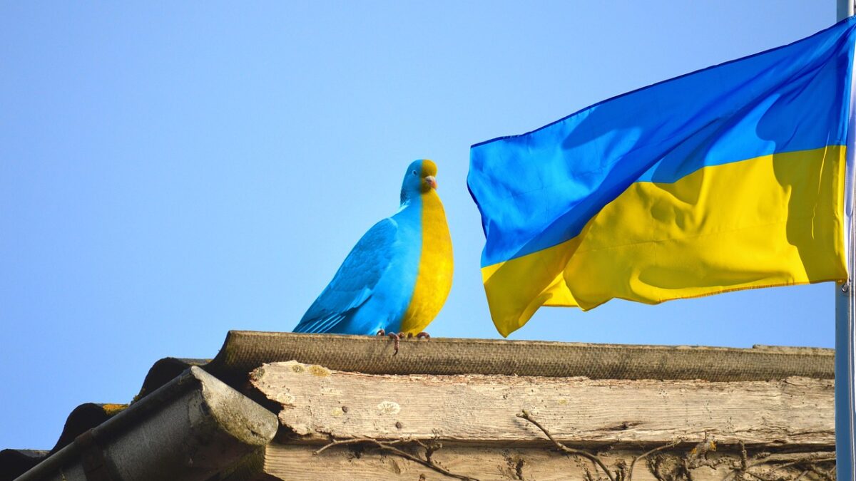 România, exclusă de Ucraina de la dubla cetățenie. Doar 5 state pe listă