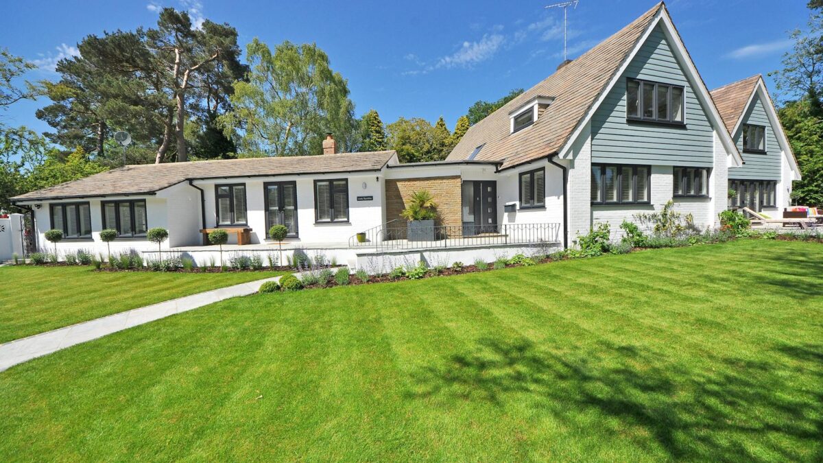 Gazonul perfect – ghid complet pentru alegerea și plantarea