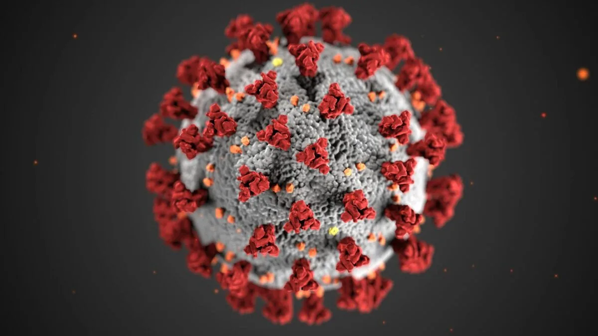 norovirus simptome
