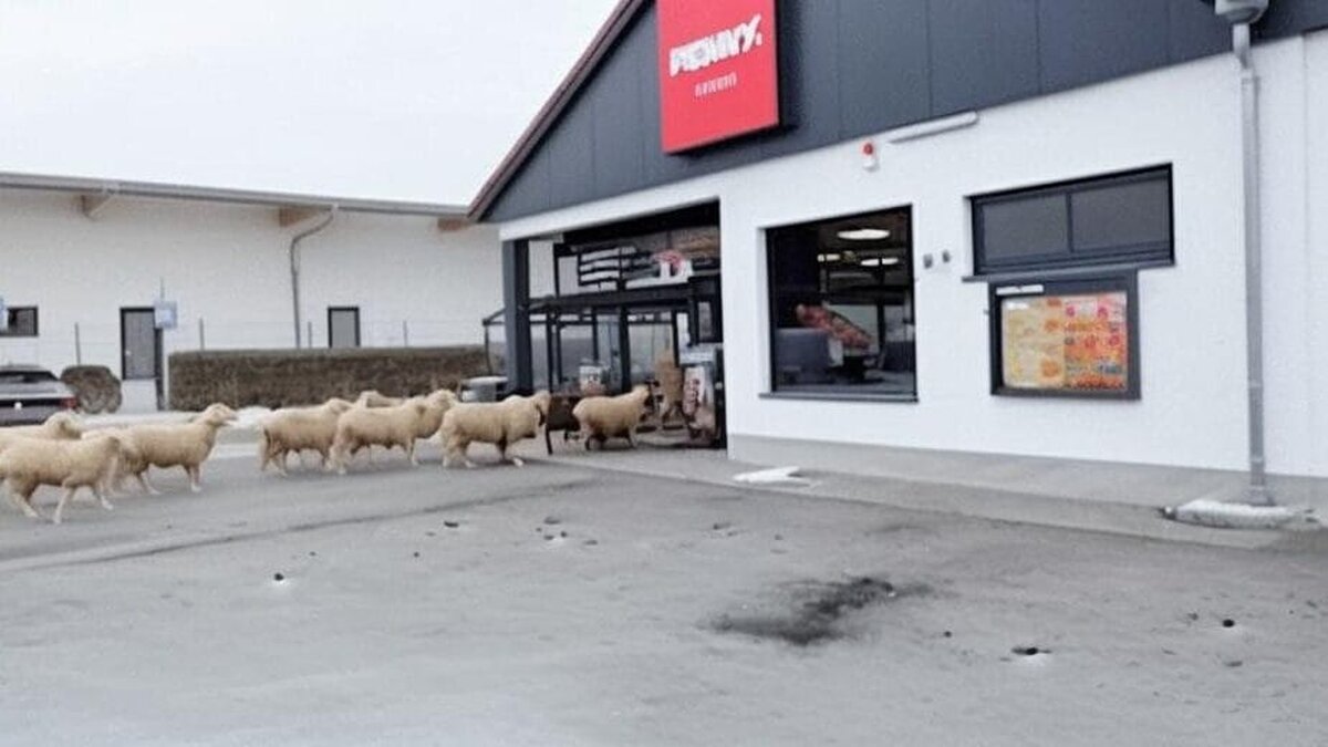 oi supermarket Germania