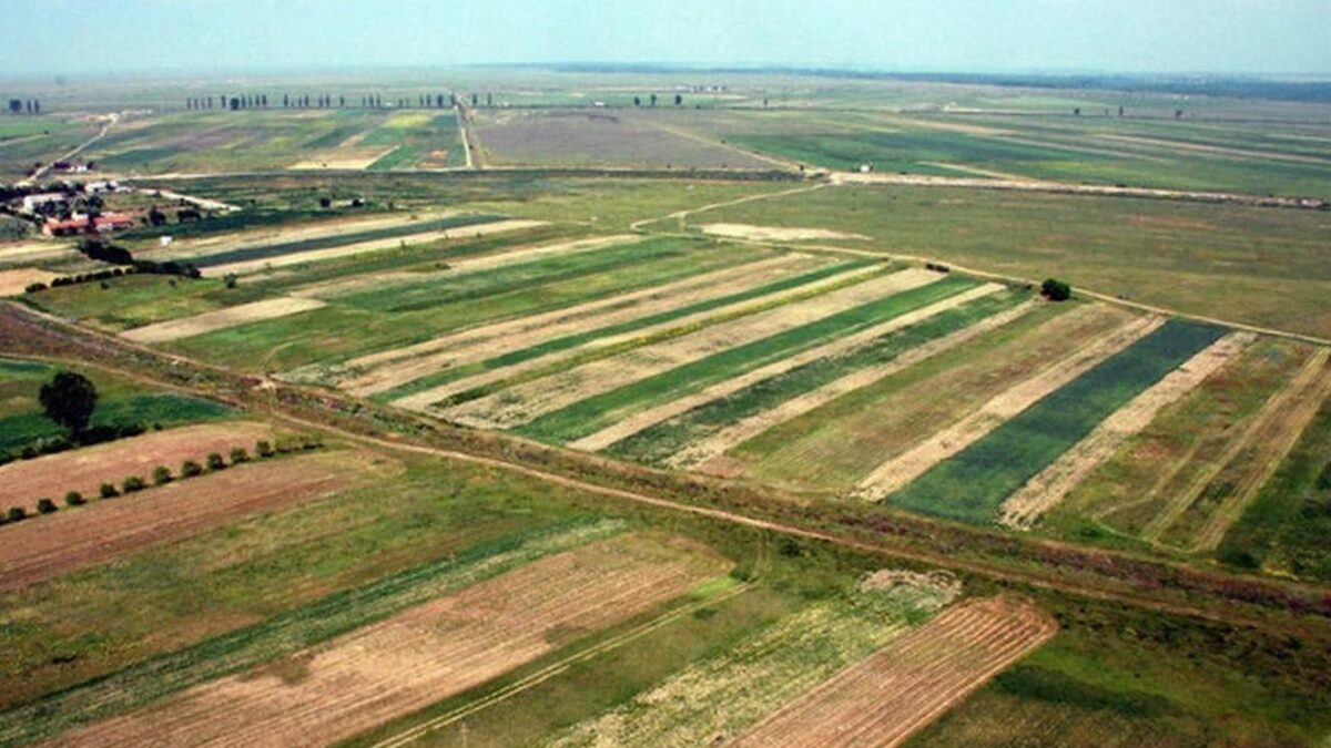 Piața terenurilor la 450 mil. euro – Rezidențialul și industrialul, luptă pe aceleași parcele