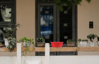 Plante rezistente pentru balcon – cele mai robuste varietăți