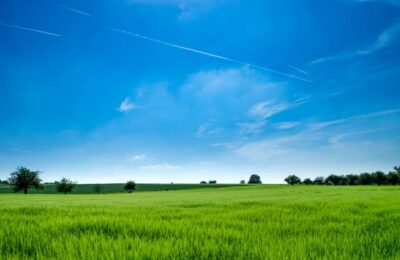 Construcțiile pe teren agricol, mai scumpe în 2026 – taxe majorate cu 7,3%