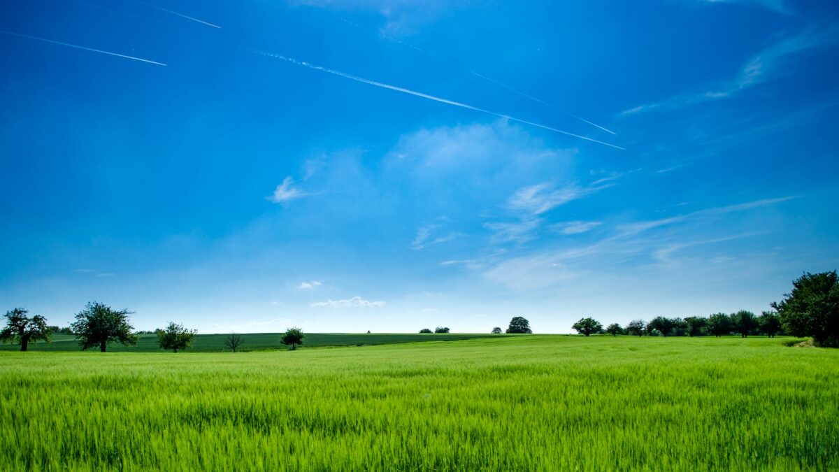 scoaterea terenurilor din circuitul agricol