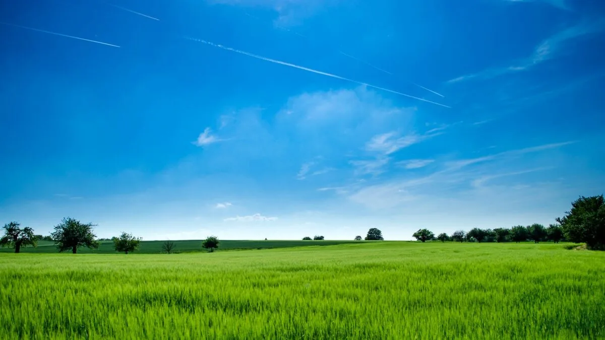 scoaterea terenurilor din circuitul agricol