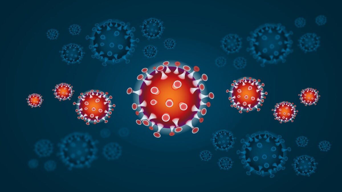 Primul caz de Chikungunya în România – un bărbat de 50 de ani. Medicul cere calm
