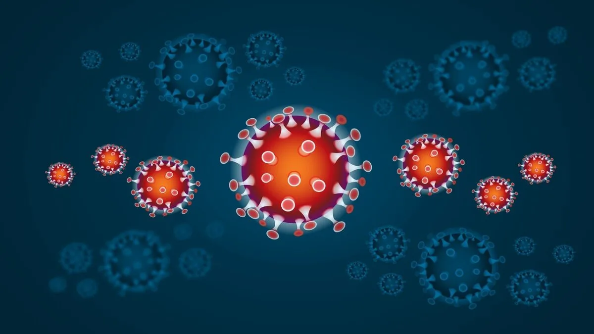 virus Chikungunya