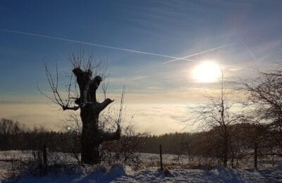 Decembrie 2025 în România: Căldură și secetă peste medie