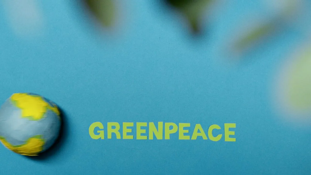 Greenpeace proces, amendă Greenpeace, Dakota Access