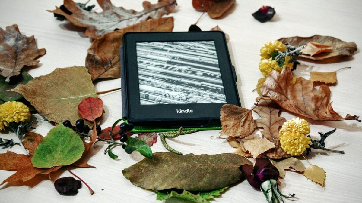 eBook reader-e 2026