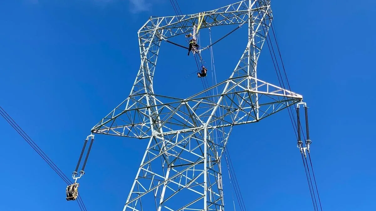 profit Electrica, rezultate financiare 2025