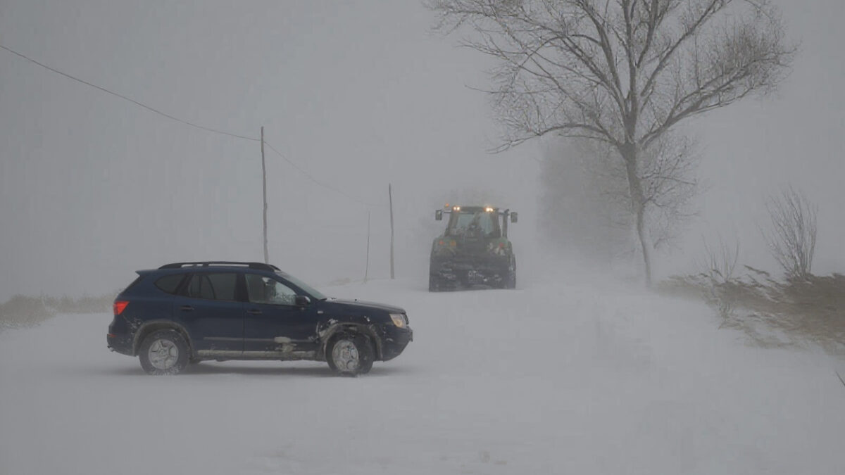 Școli închise în Giurgiu din cauza viscolului. Se anunță zăpadă de 50 cm și vânt de 85 km/h
