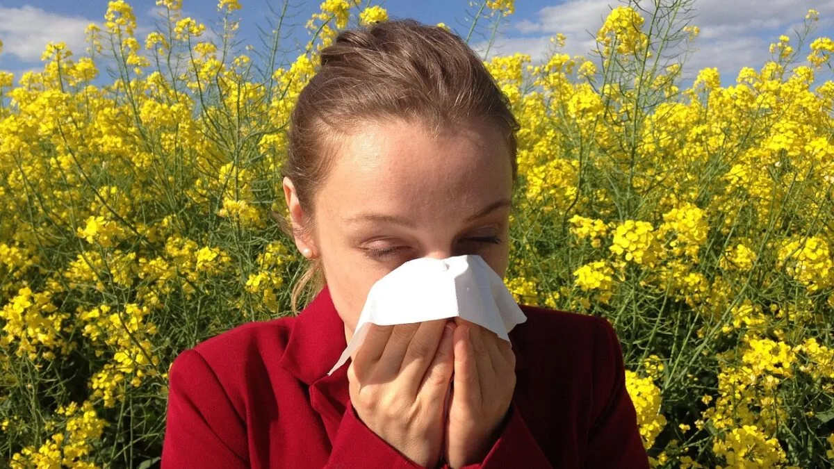alergii respiratorii, studiu pasteur, imunitate