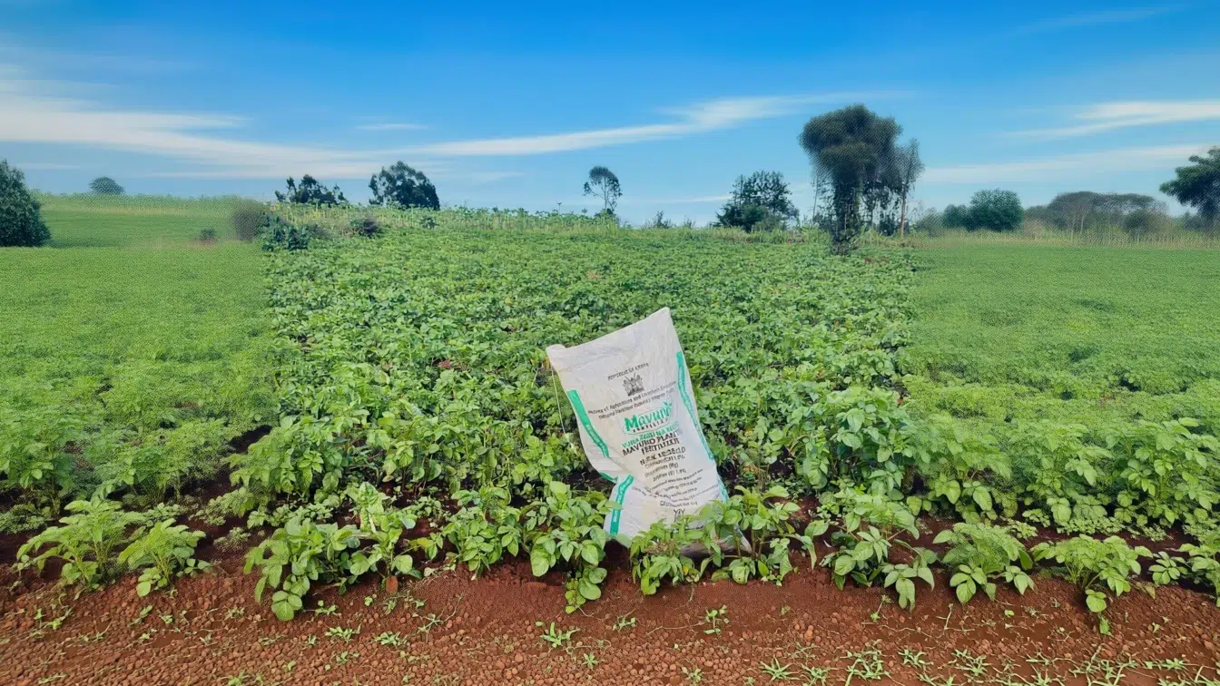 Războiul din Iran blochează aproape o treime din comerțul global cu îngrășăminte