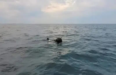 MApN acuză Rusia că distorsionează realitatea în scandalul celor 420 de mine marine