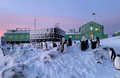 Act neobișnuit în Antarctica- 2 pinguini au confundat o cercetătoare cu mama lor