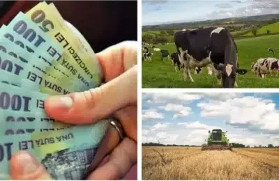 Fermieri români se pregătesc pentru controale obligatorii la APIA începând cu 2026