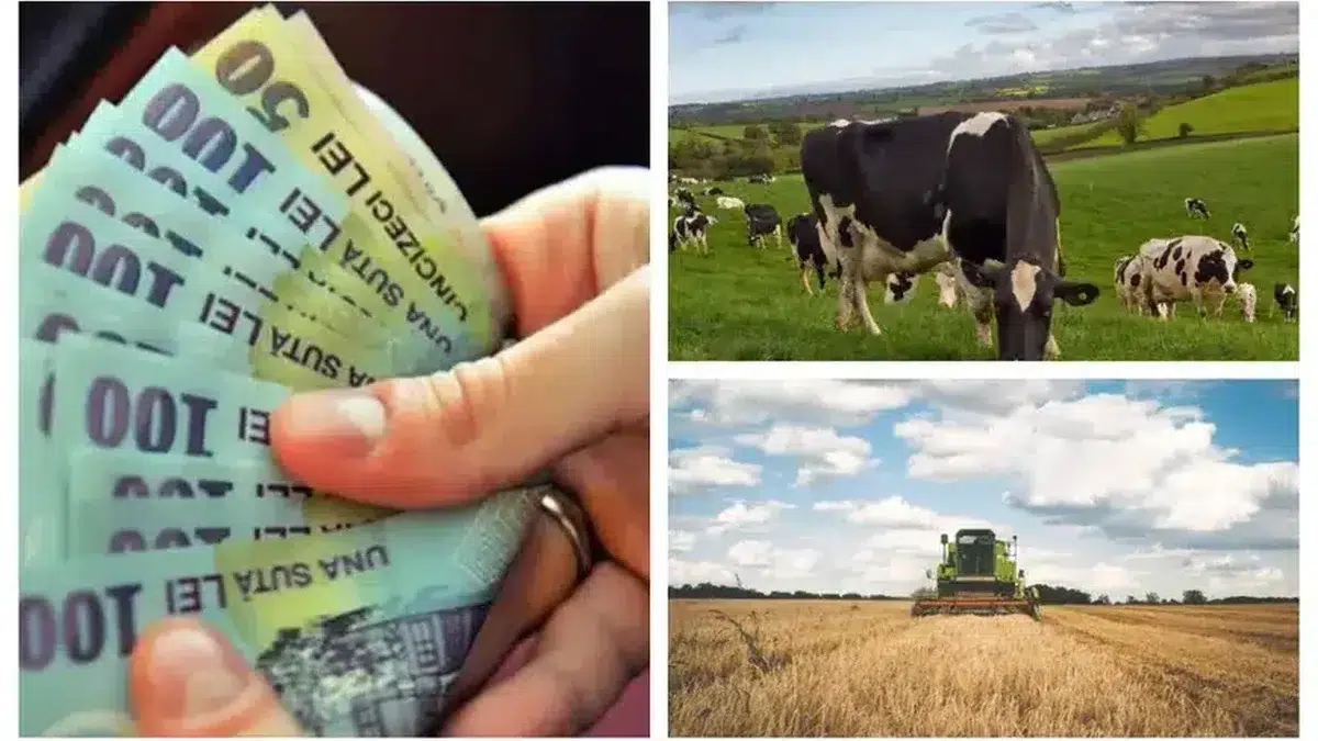 Fermieri români se pregătesc pentru controale obligatorii la APIA începând cu 2026