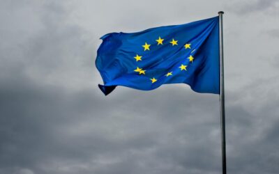 Consiliul Europei avertizează asupra violenței împotriva politicienilor în România și UE