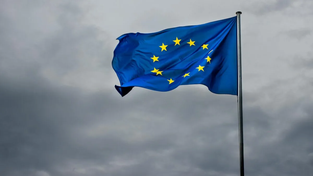 violență politicieni, Consiliul Europei