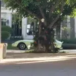 Un șofer Uber a fost surprins într-o cursă să vadă un Ferrari unic de 35 de milioane de dolari în anul 2012