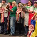 Kira Kiralina este pisica din Iași care a cucerit Europa la un concurs cu un număr de 798 de feline