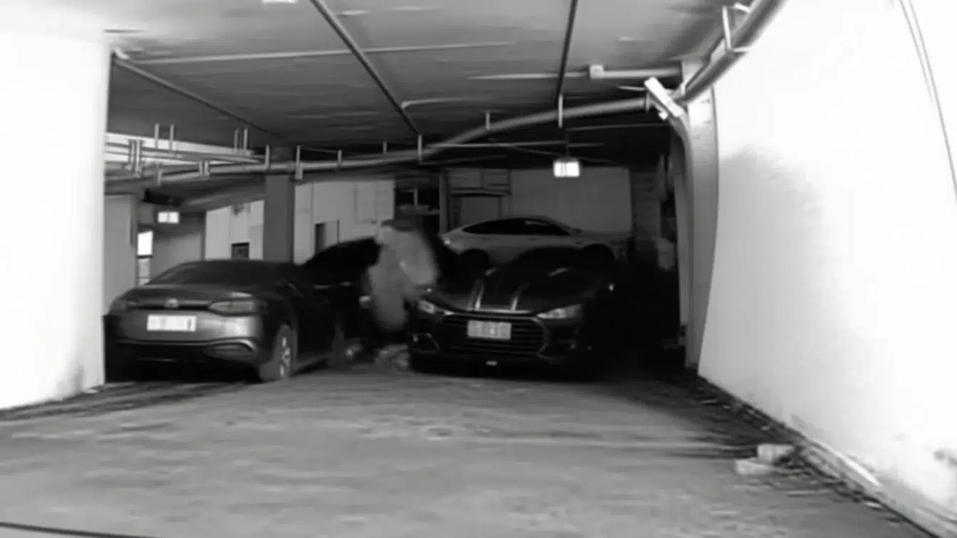 Un Porsche de 500 CP de 208.000 de euro a fost furat sub ochii proprietarului