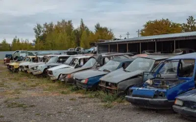 Compania Dacia cere lansarea programului Rabla 2026, după ce a înmatriculat doar 4.983 de mașini