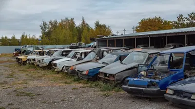 Compania Dacia cere lansarea programului Rabla 2026, după ce a înmatriculat doar 4.983 de mașini