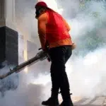 Craiova alocă aproape 1 milion de lei pentru a nimici țânțarii în acest an