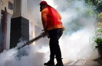 Craiova alocă aproape 1 milion de lei pentru a nimici țânțarii în acest an