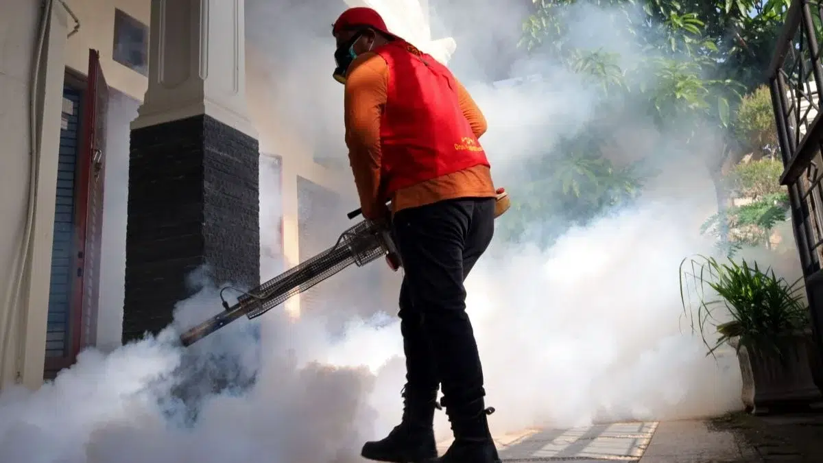 Craiova alocă aproape 1 milion de lei pentru a nimici țânțarii în acest an