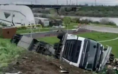 Un TIR cu oi s-a răsturnat la Năvodari, 160 de animale au murit pe loc