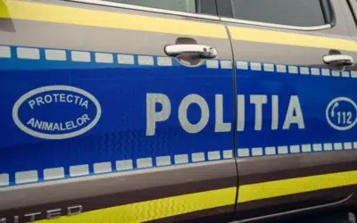 În Timiș un tânăr de 19 ani a murit lovit de o țeavă a sistemului de irigaţii pe un câmp