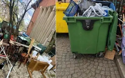 Un restaurant din Parcul Herăstrău a fost amendat cu 70.000 de lei după ce a umplut parcul de gunoaie