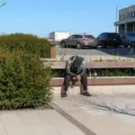 Un manager al unui magazin l-a angajat pe bărbatul de 41 de ani care cerșea la intrare