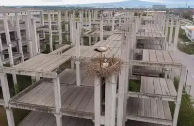 Cum ameninţă războiul din Orientul Mijlociu peste 61 de cuiburi de berze din Serbia?