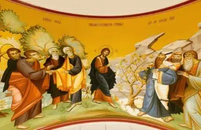 Blestemul „smochinului neroditor” este gestul lui Iisus care a uimit ucenicii