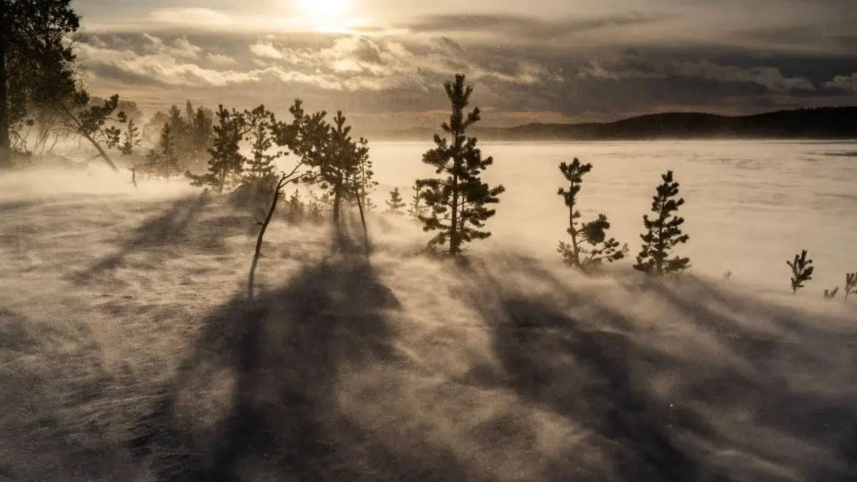 Pentr0âţşăpu ziua de 22 aprilie, ANM anunță cod portocaliu de vânt cu rafale de până la 130 km/h