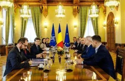 Cum este descrisă criza politică din acest an?