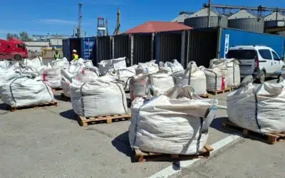 165 de tone de deșeuri au fost oprite în Portul Constanța și trimise înapoi în Algeria