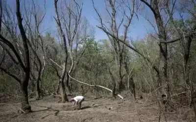 O dronă rusească a intrat în România. Alertă RO-Alert în județul Tulcea