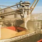 Prețurile la export pentru cereale au crescut în volum, nu şi în preţuri într-un an cu producție record
