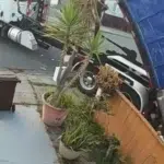 O tonă de gunoi aruncată în curte pentru o datorie de 700 de dolari